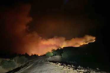 Kozan’da orman yangını: Yerleşim yerleri tahliye edildi