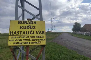 Kuduz nedeniyle mahalleye giriş çıkışlar yasaklandı
