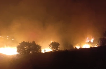 Kula’da makilik alanda yangın: 400 dönüm alan zarar gördü 