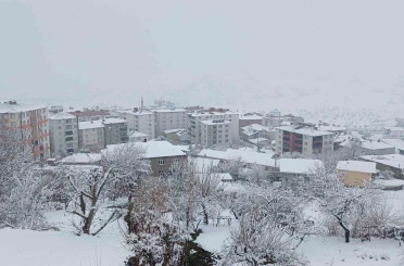 Kulp’ta kar esareti: Köy yolları kapandı, ilçe trafiği kilitlendi 