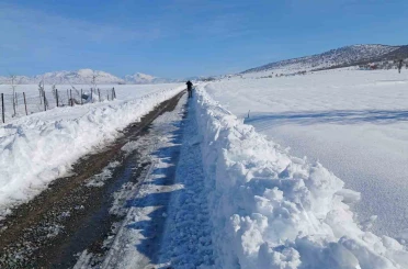 Kulp’ta taşımalı eğitime kar tatili, ilçe merkezinde okullar açık 