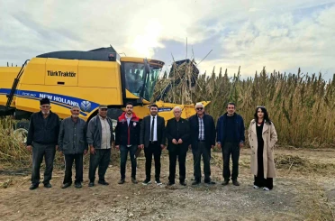 Kulu’da endüstriyel kenevirin hasadı başladı 