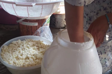 Kuma gömülerek olgunlaştırılan küp peyniri, asırlık lezzetini koruyor 