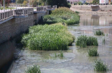 Kuraklık Yeşilırmak’ı vurdu: ‘Yağdır Mevlâm su’ 