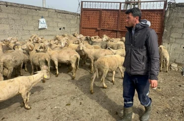 Kurbanlık parasıyla evlenmişti şimdi doğacak bebeği için kullanacak 