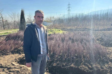 Kurulan her meyve bahçesinde "Bursa" imzası var 