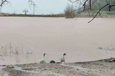 Kuruyan Sülüklü Göl yeniden canlandı 