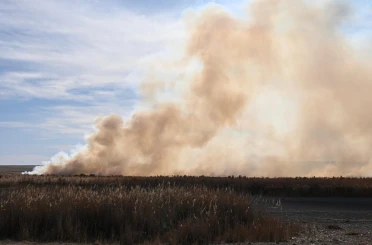 Kuş cennetinde sazlık yangını