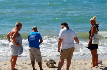 Kuşadası Körfezi’nde 4 deniz kaplumbağası ölü bulundu
