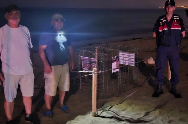 Kuşadası’nda caretta caretta heyecanı: İlk yuva koruma altına alındı 