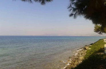 Kuşadası’nda deniz suyu kalitesi yüz güldürdü 