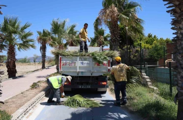 Kuşadası’nda yeşil alanlarda kapsamlı bakım ve düzenleme çalışması 