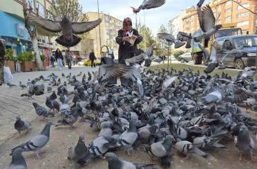 Kuşlara yem dağıtan yaşlı kadın onlarca güvercinin arasında kaldı 