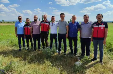 Kütahya’da çörek otu üretimi yakından takip ediliyor
