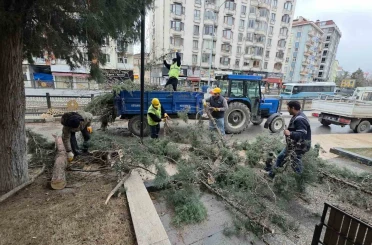Kütahya’da fırtına ve aşırı rüzgâr ağaçları devirdi 