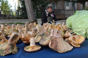 Kütahya’da ’Melki’ bereketi 