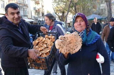 Kütahya’da melki mantarı çoğaldı, fiyatlar düştü 