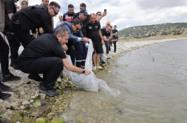 Kütahya’da Porsuk Barajı Göleti’ne 107 bin 500 balık yavrusu bırakıldı 