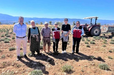 Kütahya’da ürünlerin organik geçiş sertifikasyon işlemleri için parsel kontrolleri ve numune alımları 