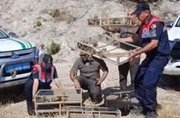 Kütahya’da yakalanan 142 saka kuşu doğaya salındı 