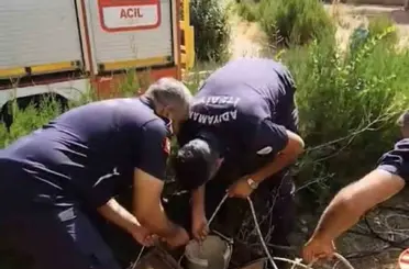 Kuyuya düşen yavru kediyi itfaiye kurtardı
