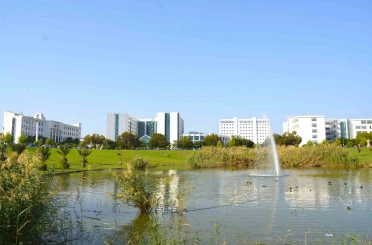 Kuzey Kıbrıs’tan dünya literatürüne: Yeni virüs türü Alasiavirus keşfedildi 