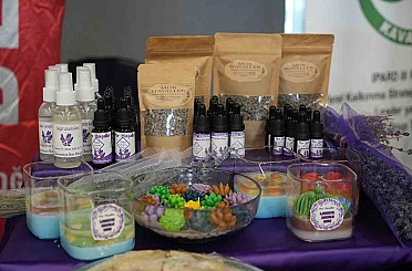 Lavanta kadınların elinde çeşitli ürünleri dönüşüyor: Yağ, mum, kolonya 