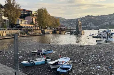 Limanda şaşırtan görüntü
