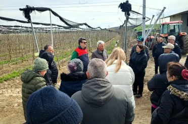 Lüleburgaz’da üreticilere uygulamalı budama eğitimi 