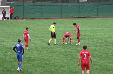 Maç esnasında top çarpan martı, kalp masajıyla hayata döndü 