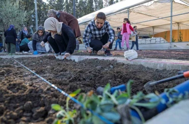 Mahalle bostanlarında kış dikimleri başladı 