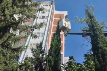 Mahsur kalan kediyi itfaiye kurtardı 