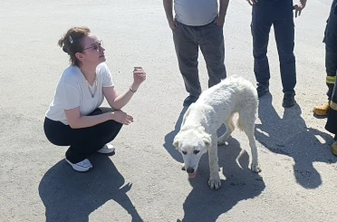 Mahsur kalan köpeğin sesini sadece o duydu, kurtarıldığında gözyaşlarına boğuldu 