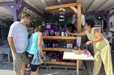 "Makasını getir, çiçeğini götür" etkinliğiyle lavanta tarlasında ziyaretçi akını

