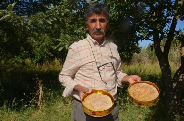Malatya’da bal hasadı başladı 