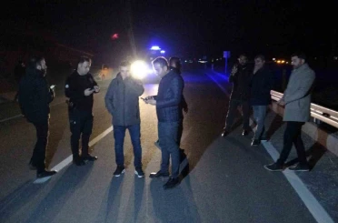 Malatya’da kaçan yarış atları karayoluna çıktı: 6 at telef oldu, 2 kişi yaralandı 