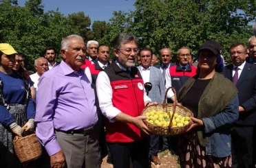 Malatya’da kayısı hasadına katılan Bakan Yumaklı: "Geçtiğimiz senenin o karamsar zamanını üzerimizden atan çok güzel bir ürün görüyoruz" 
