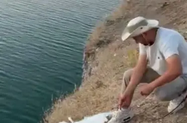 Malatya’da oltaya balık yerine martı takıldı
