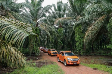 Malezya ile ABD arasında palm yağı savaşı 