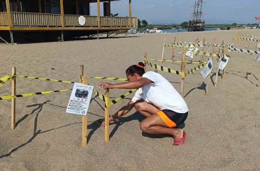 Manavgat’ta caretta caretta yavrularına koruma nöbeti 