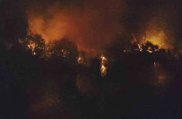 Manavgat’ta ırmak kenarındaki yangın korkuttu 