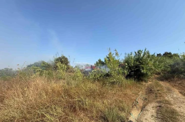 Manavgat’ta kamışlık alanda çıkan yangın söndürüldü 
