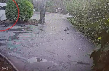 Manavgat’ta servis otobüsü ile hafif ticari araç çarpıştı 