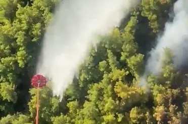Manavgat’taki orman yangını kontrol altına alındı