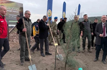 Manisa’da 2025 sonuna kadar 3,1 milyon fidan toprakla buluşacak 