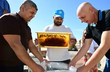 Manisa’da arıcıların peteklerine eksi 30 derecelik koruma
