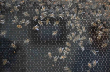 Manisa’da kırsal kalkınmaya 144 milyon TL’lik dev yatırım 