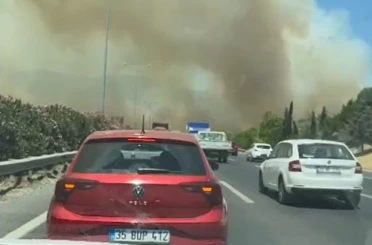 Manisa’da orman yangınında alevler İzmir-İstanbul Otoyolu’na ulaştı 