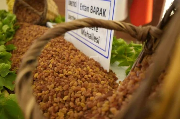 Manisa’nın 9 aylık tarım ihracatı 706,7 milyon dolara ulaştı 