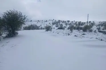 Manisa’ya mevsimin ilk karı düştü
